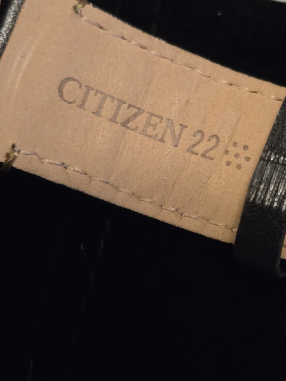 Citizen Eco-Drive Radio Control watch